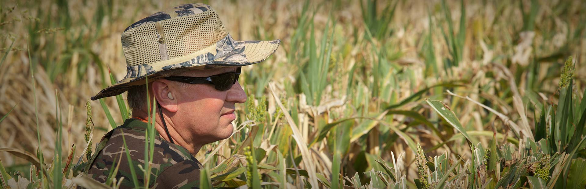 Dove Hunting Season and Dates in Florida